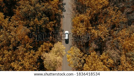 Aerial top down view of white car driving on country road in forest in at.
