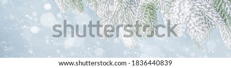 Christmas border. Holiday christmas tree garland on light blue snowy background. Christmas tree branches with snow. Festive Christmas banner or background.