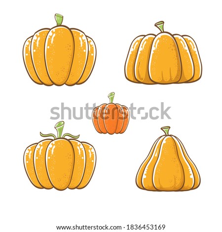 vector graphic orange pumpkins set isolated on white background. Cartoon hand drawn pumpkins collection for autumn ,Halloween and Thanksgiving day poster and banner design