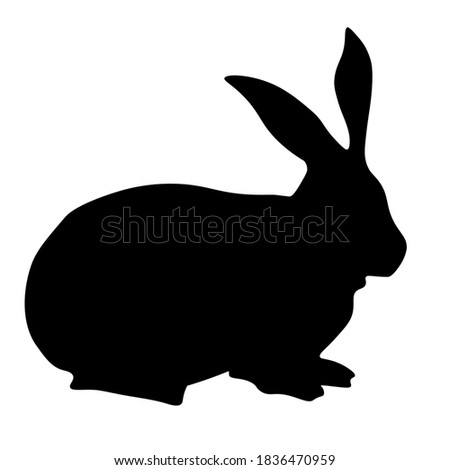 rabbit vector icon. rabbit silhouette symbol. Linear style sign for mobile concept and web design. House animals symbol logo illustration. vector