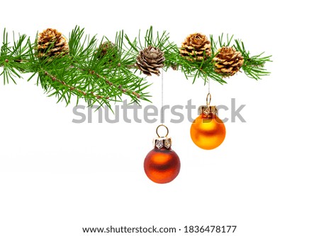 Two Christmas balls on a pine branch with pine cones