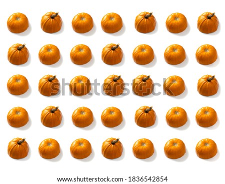 Sliced pumpkin pattern against the white background