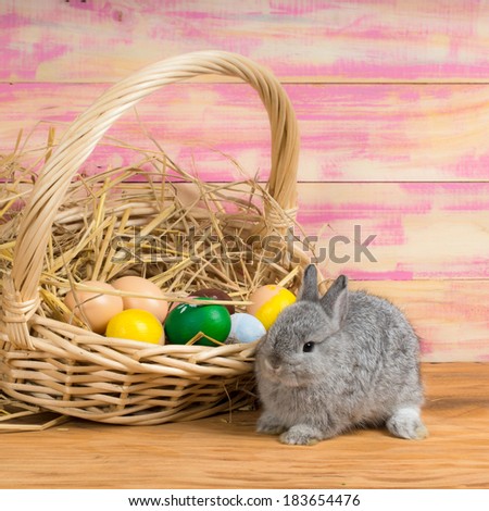 Funny little rabbit among Easter eggs in velour grass