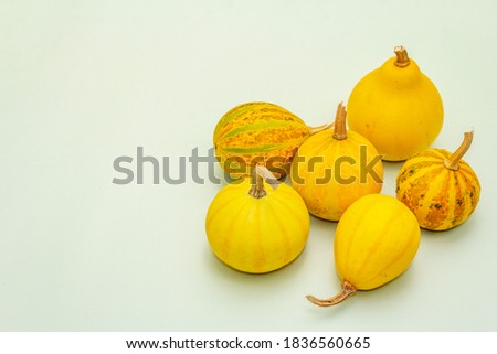 Autumn composition. Pumpkins on pastel green background. Fall or halloween concept, flat lay, copy space