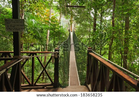 Canopy walkway. Taman Negara National Park. Malaysia Royalty-Free Stock Photo #183658235
