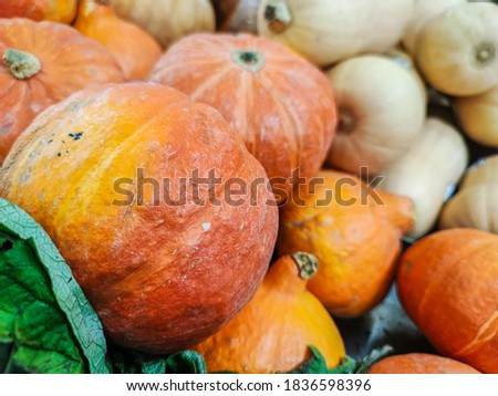 Selected focus on lot of mini pumpkin at farmers market
