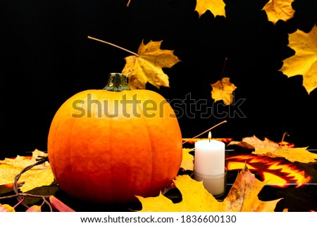 Orange pumpkin burning candle on a table with yellow and red maple leaves. Halloween, warm autumn atmosphere.Dark black background with maple leaves.