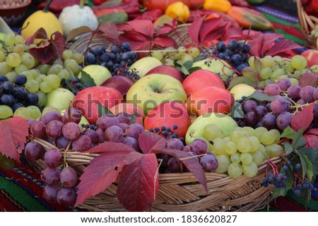 Autumnal concept with variety  of fruit in a basket shot outdoor