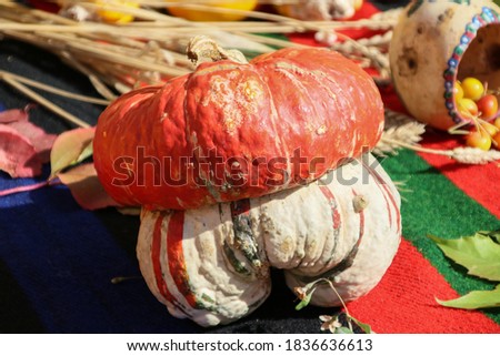 Autumnal concept with colorful pumpkins on a rustic rug shot outdoor