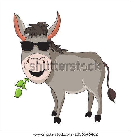 donkey wearing sun glasses vector illustration