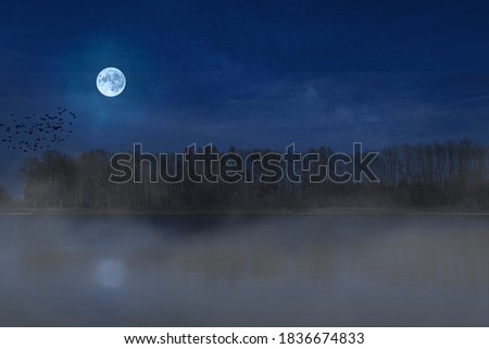 surreal night picture of  full moon over the lake with fog and trees