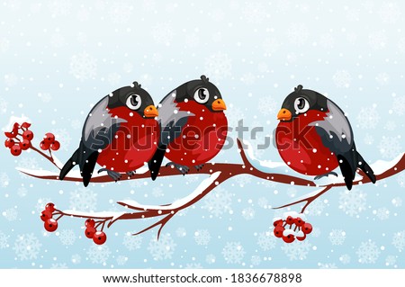 A group of cartoon bullfinches on a rowan branch. Red birds on a branch in winter with snow.