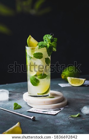 cold Mojito cocktail with rum, lime, ice cubes and mint Royalty-Free Stock Photo #1836692842