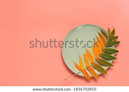 Abstract autumn colorful greeting card. Autumn leaf in a round plate on a pink background
