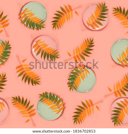Abstract autumn colorful pattern. Autumn leaf in a round plate on a pink background. Flat lay