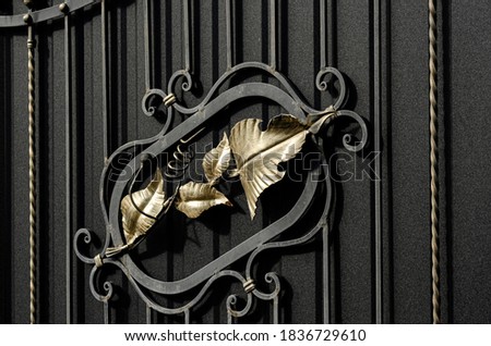 Modern metal gates decorated with forged elements