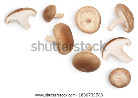 Fresh Shiitake mushroom isolated on white background with clipping path. Top view with copy space for your text. Flat lay Royalty-Free Stock Photo #1836735763