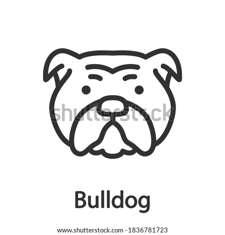 Bulldog, Dog breed, linear icon. Editable stroke