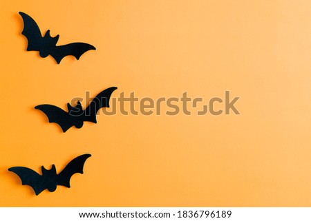 Halloween. Bats on an orange background. Halloween. Halloween concept.