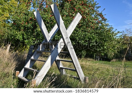 Stile over fence in meadow against apple tree Royalty-Free Stock Photo #1836814579