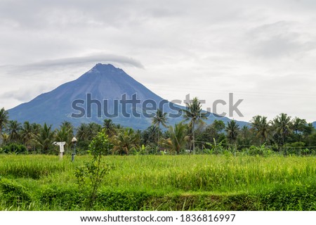 Mount Merapi is one of the active volcanoes in Indonesia. I took this picture of Mount Merapi as rice fields in Magelang. When the weather is clear, it is visible from the clear sky