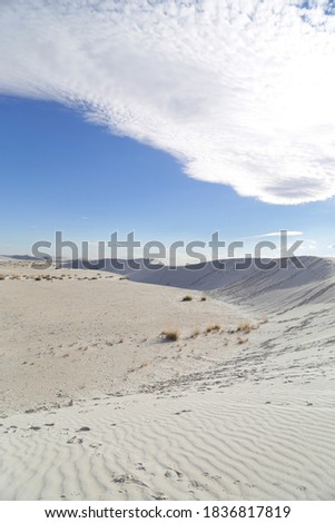 A vertical picture of beautiful white Sands Desert in White Sands National Park in New Mexico