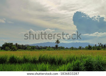 This is a landscape photo with the main objects being clouds and rice fields. I took this photo in Magelang, Indonesia. Rice fields are still very easy to find in Indonesia