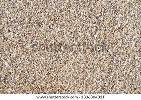sand of beach for background.