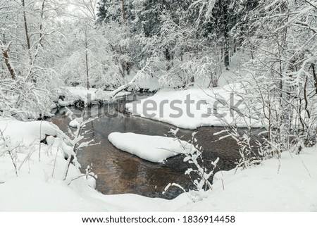 Snowy winter forest and flowing river. Scenic landscape on a winter day in the forest