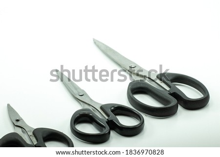 The Scissors Family gathered into formation