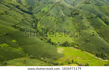 Terraced rice field at Mae Cham Chiangmai Northern Thailand