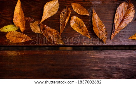 Fall. Colorful fallen leaves on a wooden brown background, picture, landscape, close-up