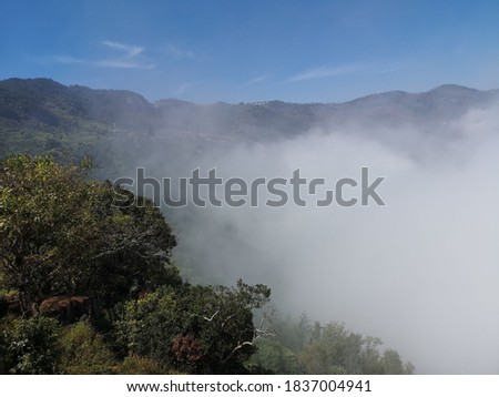 Beautiful foggy or Misty mountain valley in Coonoor,Tamilnadu,India. 