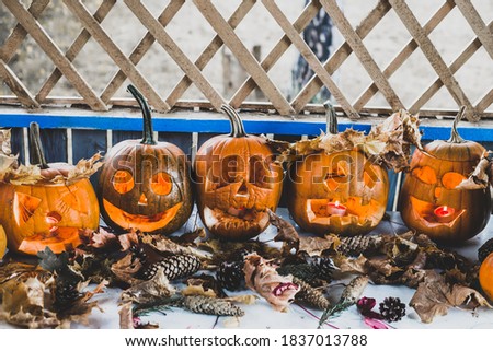 
halloween party in the village, carved pumpkins and autumn holiday atmosphere