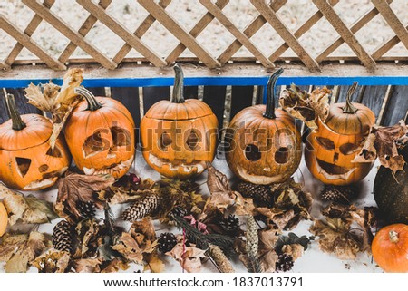 
halloween party in the village, carved pumpkins and autumn holiday atmosphere
