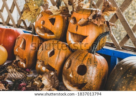 halloween party in the village, carved pumpkins and autumn holiday atmosphere