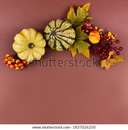 Autumn decoration on a brown background frame stock images. Autumn decoration with pumpkins top view. Autumn season border stock images. Natural fall harvest background with copy space for text