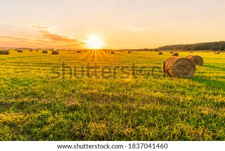 Scenic view at picturesque burning sunset in a green shiny field with hay stacks, bright cloudy sky , golden sun rays and road leading far away, summer valley landscape Royalty-Free Stock Photo #1837041460