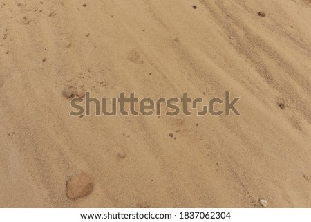 The texture of the sandy layer of the earth. Sand background. 