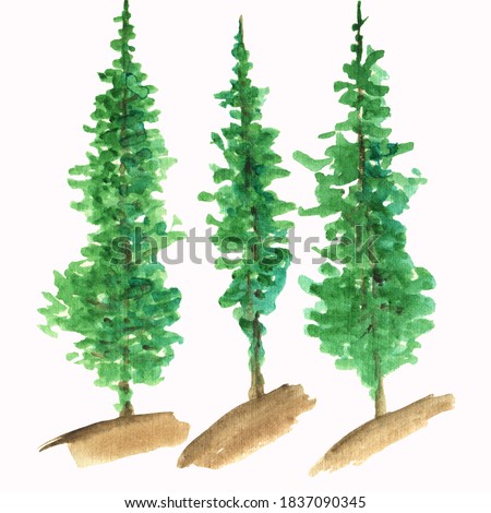 watercolor,trees forest,watercolor trees,green trees, Christmas trees, trees , forest, nature, Hiking, parks,foliage, watercolor drawings