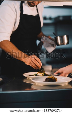Close-up of a male chef decorating food in ceramic dishes over stainless steel worktop in restaurant kitchen.
