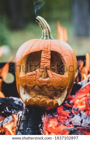 burning pumpkin for halloween in autumn
