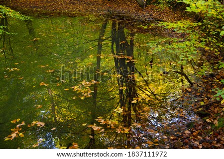 Small lake in the Arnsberger Wald, Sauerland, Westphalia, Germany