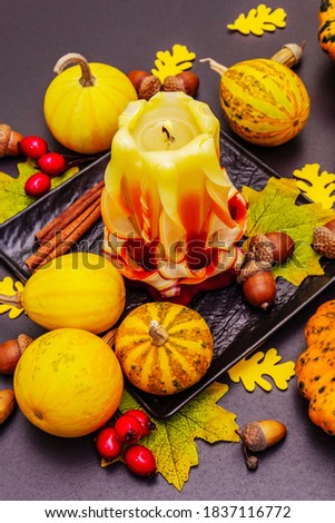Autumn composition for Thanksgiving or Halloween. Burning carved candle, ripe pumpkins, acorns, fall leaves and rosehip berries. Stone concrete background, close up