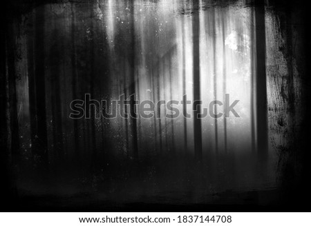 Scary Forest, Halloween Landscape, Night Background