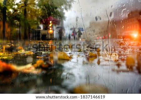 autumn rain. People walk in the rain.