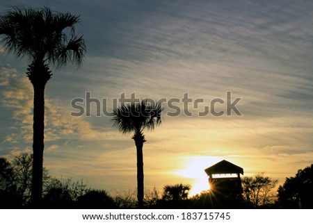 Evening Coast Sunset with Silhouette of Palms and Beach Hut against a Colorful Twilight Sky