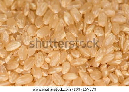 Close up of brown rice