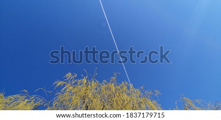 A picture of a blue sky with no clouds with three yellow tres in the corner as a plane crosses the picture