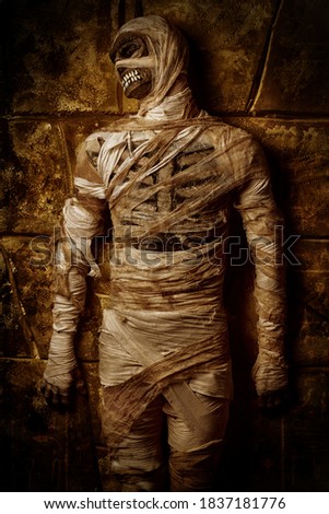 Halloween mummy is posing against the background of ruined wall. Halloween. Ancient Egyptian mythology.